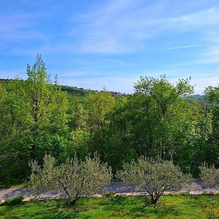 Apartma Lavanda Kojsko Exteriör bild