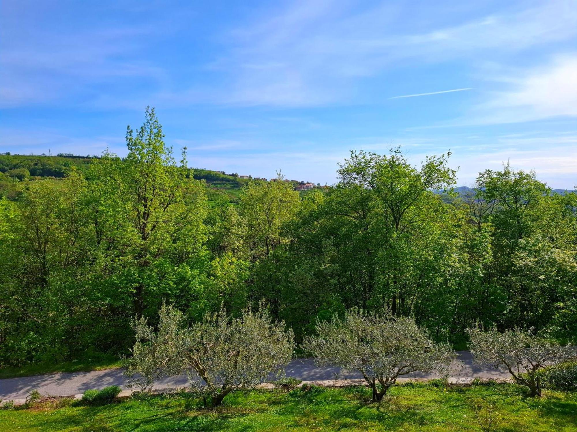 Apartma Lavanda Kojsko Exteriör bild