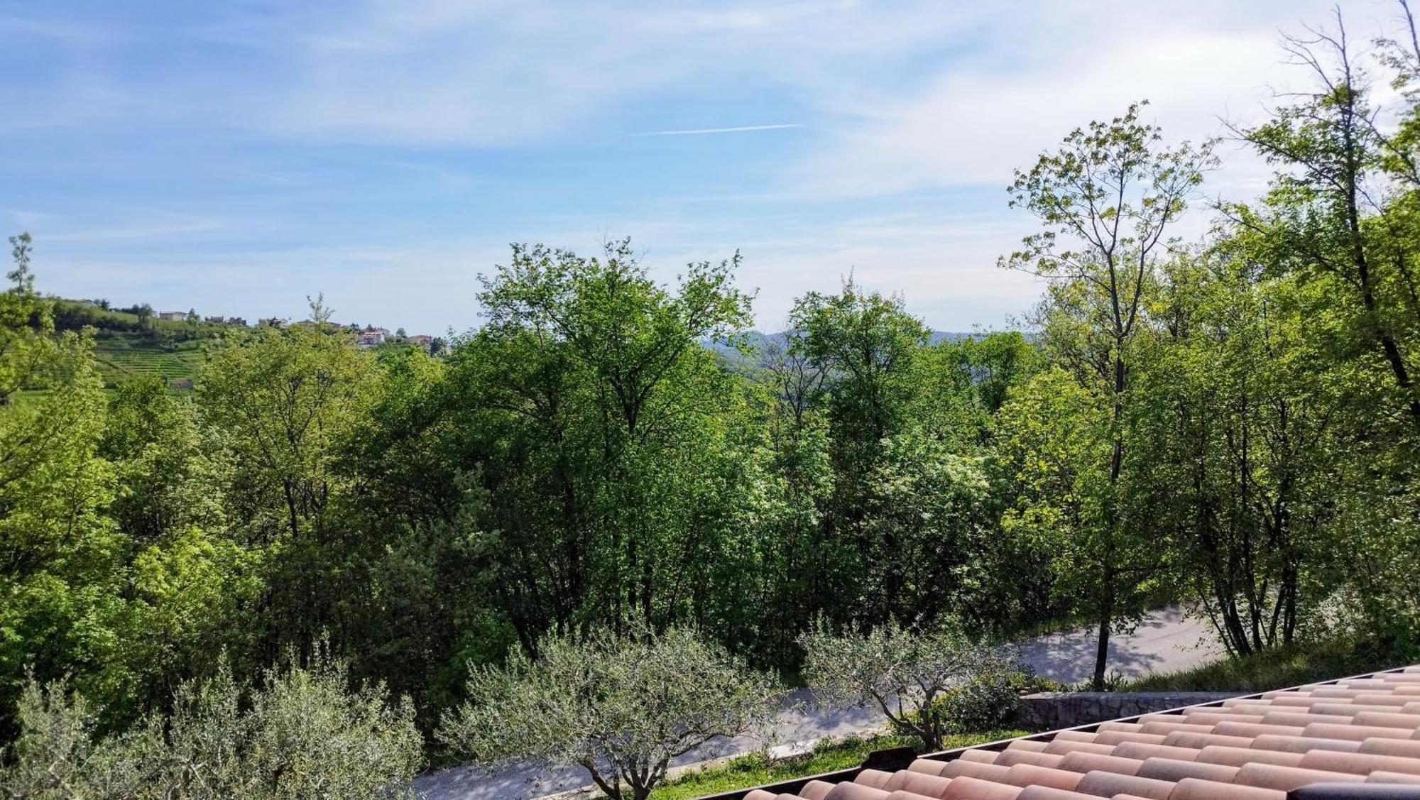 Apartma Lavanda Kojsko Exteriör bild